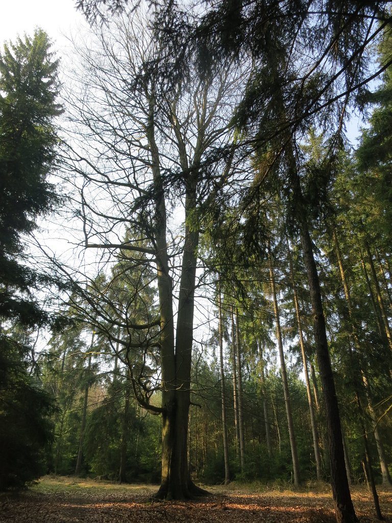 07
