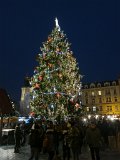 IMG_3499