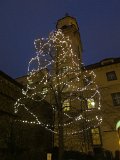 IMG_3502