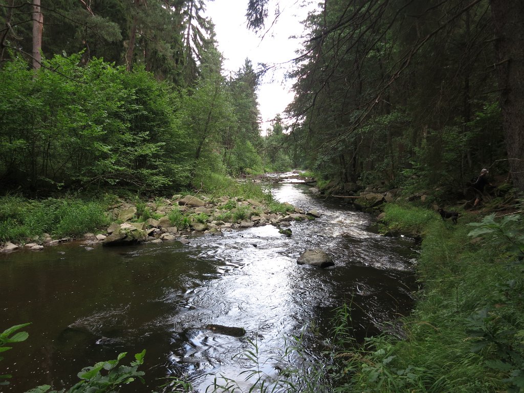 201