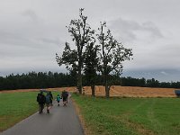 IMG 7255