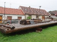 IMG 7266